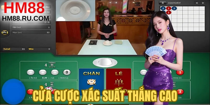 Cửa cược xác suất thắng cao